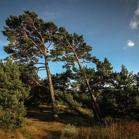 Apartamentai Emira Palanga