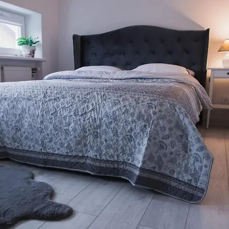 Daire Apartamentai Emira Palanga