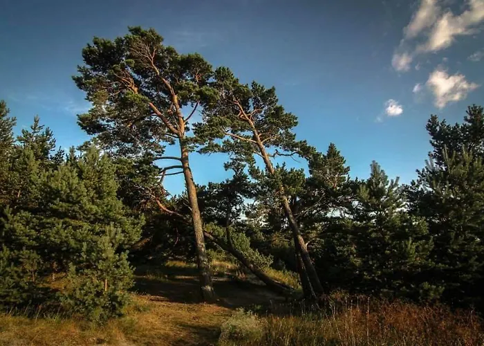 Apartamentai Emira Palanga