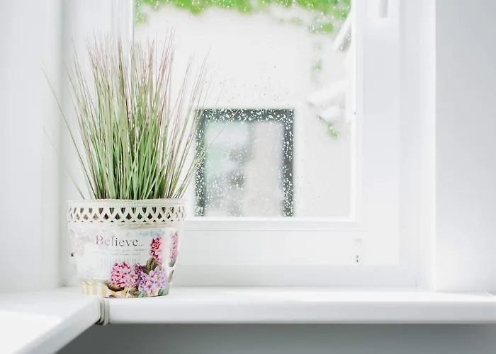 Apartamentai Emira Apartment Palanga